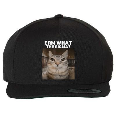 Erm What Sigma Meme Cat Meme Internet Memes Funny Meme Genz Wool Snapback Cap