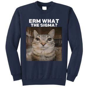 Erm What Sigma Meme Cat Meme Internet Memes Funny Meme Genz Sweatshirt