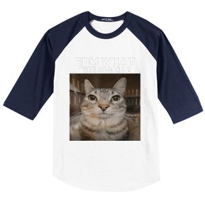 Erm What Sigma Meme Cat Meme Internet Memes Funny Meme Genz Baseball Sleeve Shirt