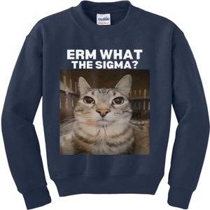 Erm What Sigma Meme Cat Meme Internet Memes Funny Meme Genz Kids Sweatshirt