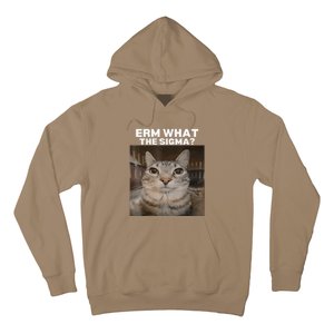 Erm What Sigma Meme Cat Meme Internet Memes Funny Meme Genz Hoodie