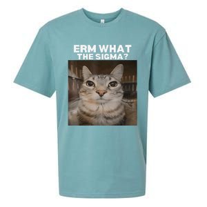 Erm What Sigma Meme Cat Meme Internet Memes Funny Meme Genz Sueded Cloud Jersey T-Shirt