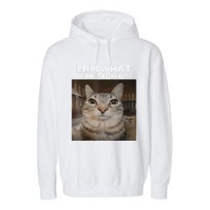 Erm What Sigma Meme Cat Meme Internet Memes Funny Meme Genz Garment-Dyed Fleece Hoodie