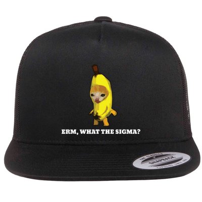 Erm What Sigma Cat Meme Flat Bill Trucker Hat