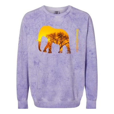 Elephant With Sunset In Africa Wildlife Elephants Gift Colorblast Crewneck Sweatshirt