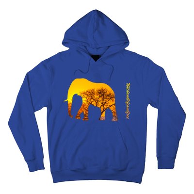 Elephant With Sunset In Africa Wildlife Elephants Gift Hoodie