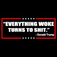 Everything Woke Turns To Shit Visor