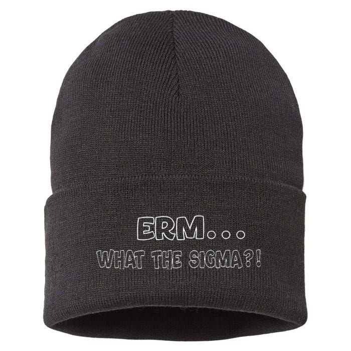 Erm What The Sigma Sustainable Knit Beanie