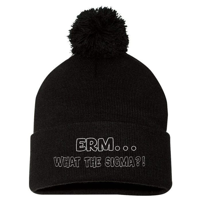 Erm What The Sigma Pom Pom 12in Knit Beanie