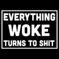 Everything Woke Turns To Shit Magnet