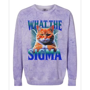 Erm What The Sigma Funny Cat Meme Weirdfor Gen Alpha Colorblast Crewneck Sweatshirt