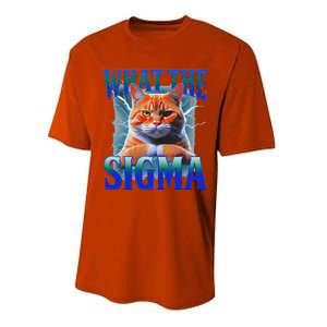 Erm What The Sigma Funny Cat Meme Weirdfor Gen Alpha Performance Sprint T-Shirt