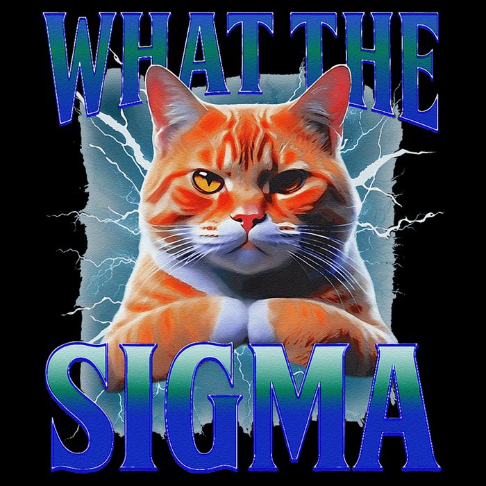 Erm What The Sigma Funny Cat Meme Weirdfor Gen Alpha Full-Length Apron With Pockets