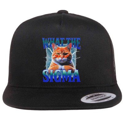 Erm What The Sigma Funny Cat Meme Weirdfor Gen Alpha Flat Bill Trucker Hat