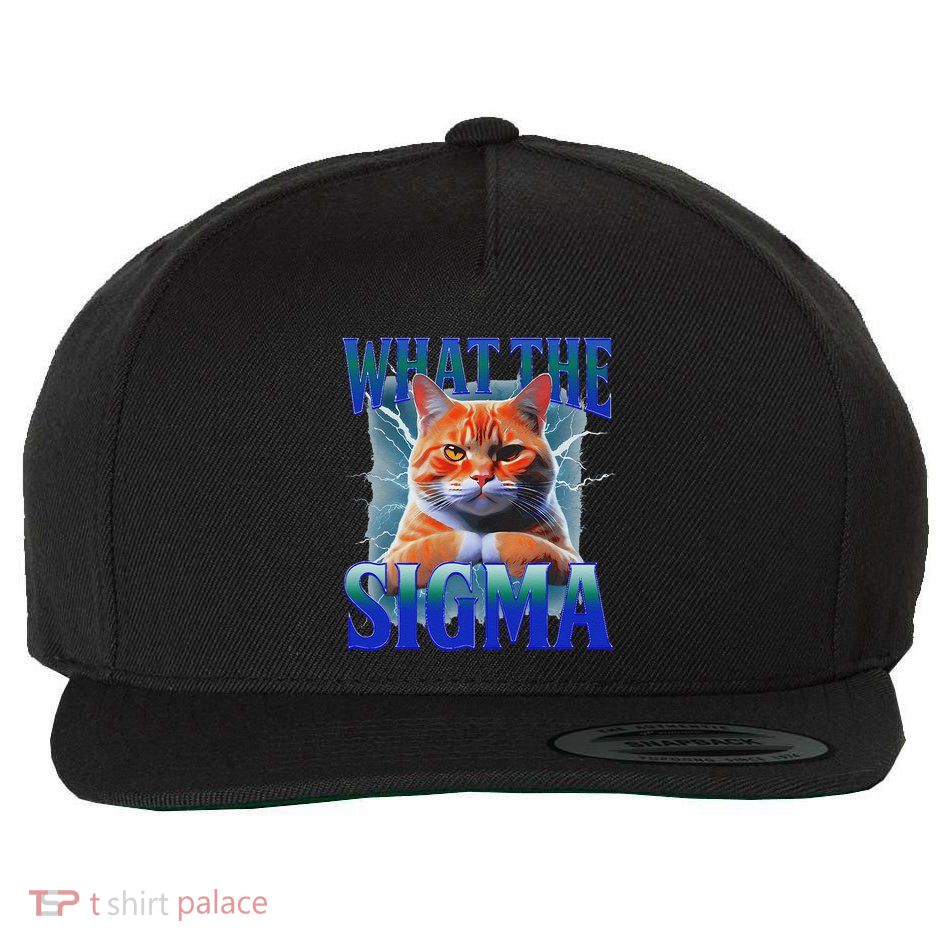 Erm What The Sigma Funny Cat Meme Weirdfor Gen Alpha Wool Snapback Cap