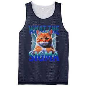 Erm What The Sigma Funny Cat Meme Weirdfor Gen Alpha Mesh Reversible Basketball Jersey Tank