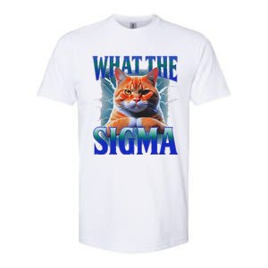 Erm What The Sigma Funny Cat Meme Weirdfor Gen Alpha Softstyle CVC T-Shirt