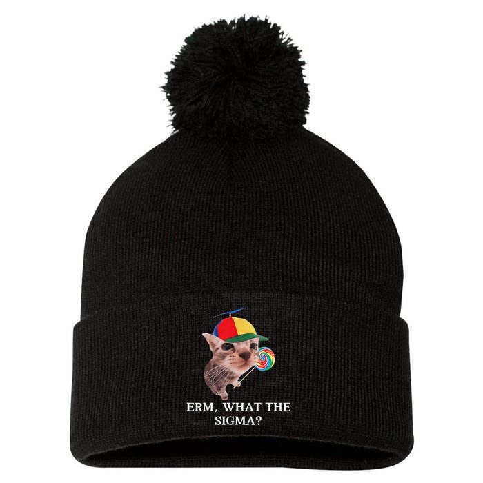 Erm What The Sigma Cat Candy Pom Pom 12in Knit Beanie