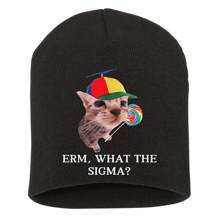 Erm What The Sigma Cat Candy Short Acrylic Beanie