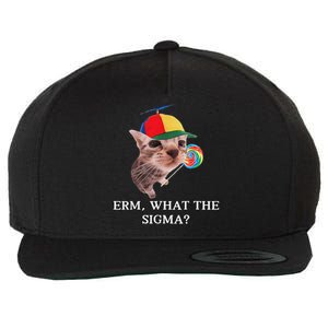 Erm What The Sigma Cat Candy Wool Snapback Cap