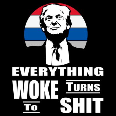 Everything Woke Turns To Shit Funny Trump 2024 Anti Woke T-Shirt