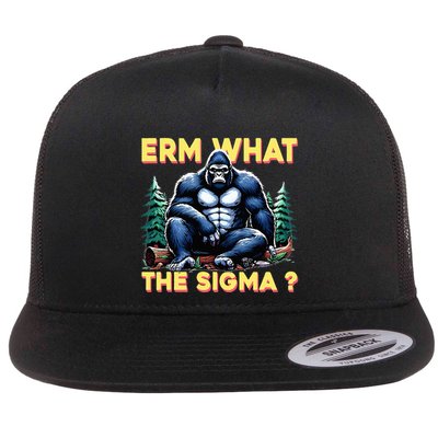 Erm What The Sigma Flat Bill Trucker Hat