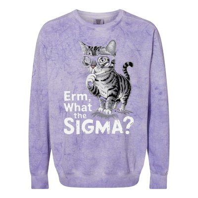 Erm What The Sigma Funny Meme Forand Colorblast Crewneck Sweatshirt