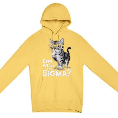 Erm What The Sigma Funny Meme Forand Premium Pullover Hoodie