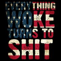 Everything Woke Turns To Shit USA Flag 16 in Basic Backpack
