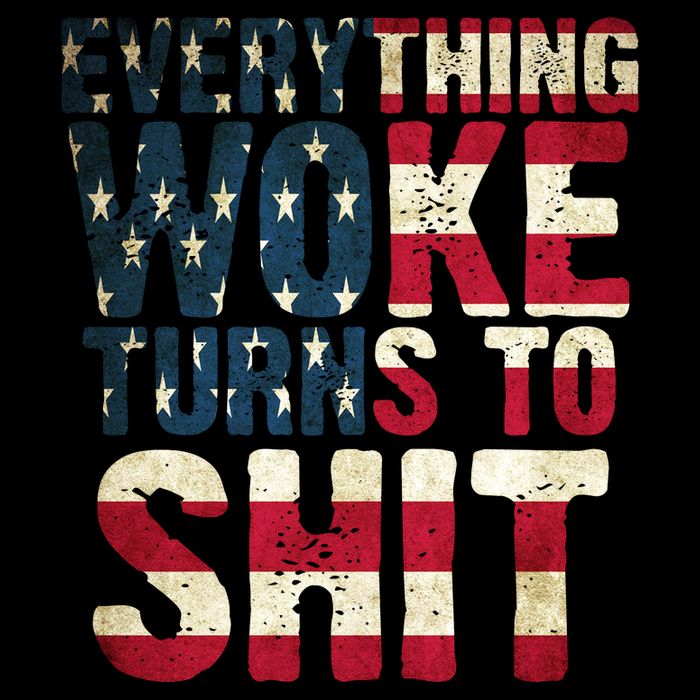 Everything Woke Turns To Shit USA Flag 16 in Basic Backpack