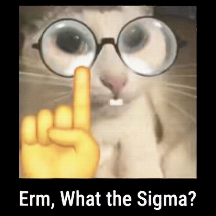 Erm What The Sigma Cat Meme 7-Panel Snapback Hat