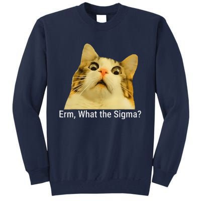 Erm What The Sigma Funny Quote Tall Sweatshirt