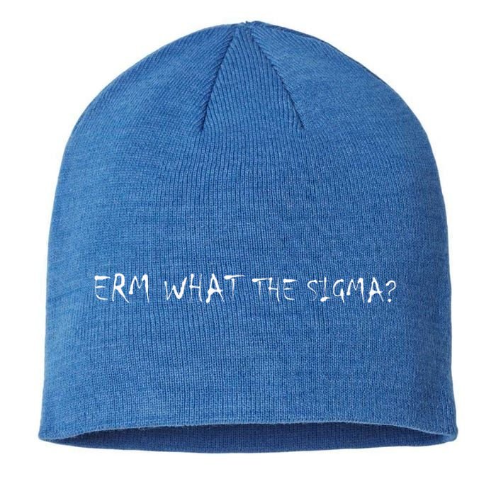 Erm What The Sigma Sustainable Beanie