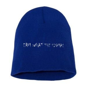 Erm What The Sigma Short Acrylic Beanie