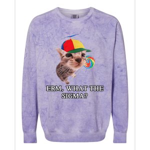 Erm What The Sigma Cat Candy Colorblast Crewneck Sweatshirt