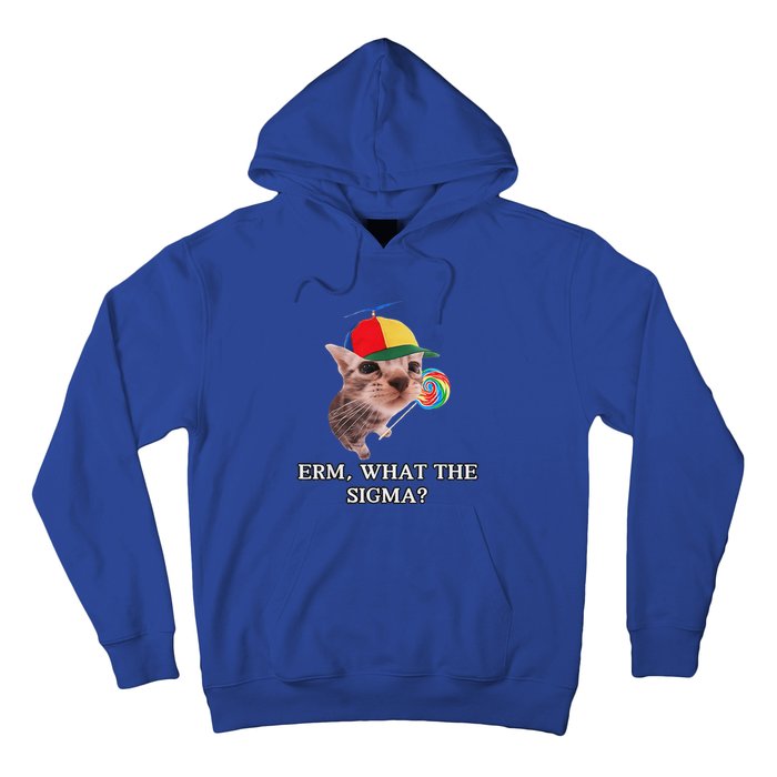 Erm What The Sigma Cat Candy Hoodie