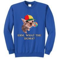 Erm What The Sigma Cat Candy Sweatshirt