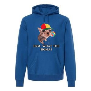 Erm What The Sigma Cat Candy Premium Hoodie