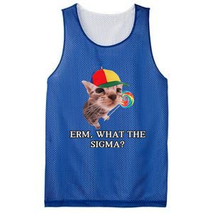 Erm What The Sigma Cat Candy Mesh Reversible Basketball Jersey Tank