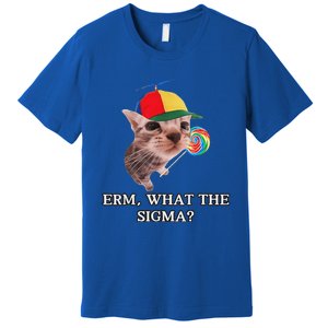 Erm What The Sigma Cat Candy Premium T-Shirt