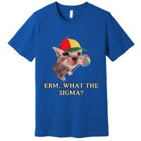 Erm What The Sigma Cat Candy Premium T-Shirt