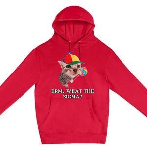 Erm What The Sigma Cat Candy Premium Pullover Hoodie