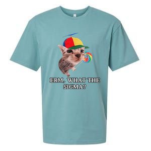 Erm What The Sigma Cat Candy Sueded Cloud Jersey T-Shirt