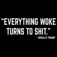 Everything Woke Turns To Shit Donald Trump T-Shirt