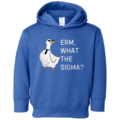 Erm What The Sigma Funny Meme Sigma Toddler Hoodie