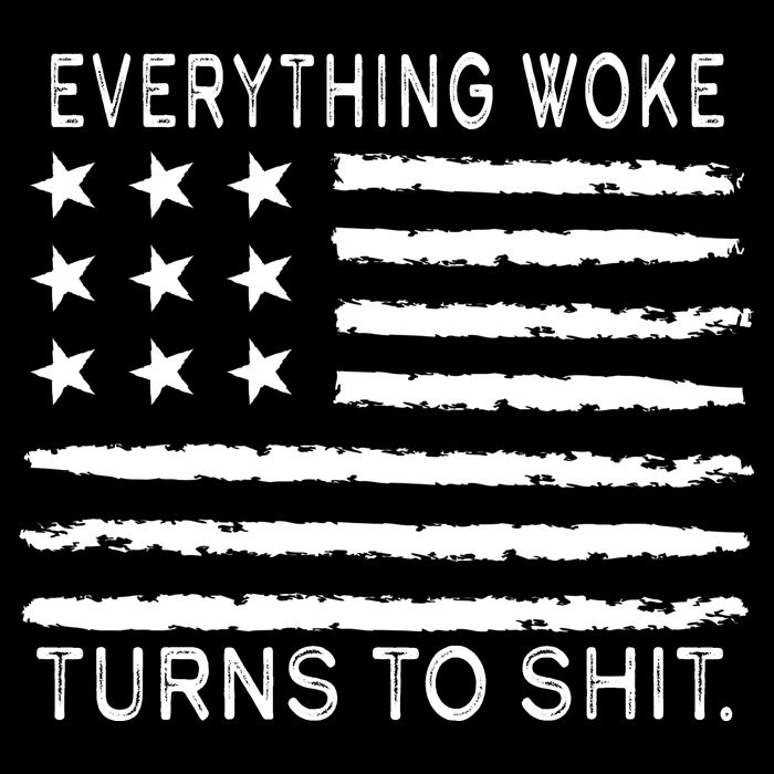 Everything Woke Turns To Shit American Flag Impact Tech Backpack