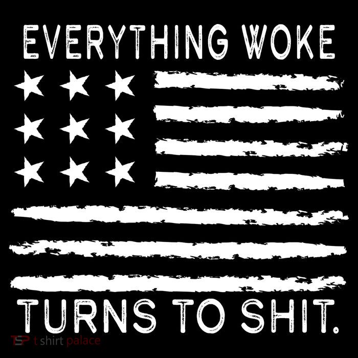 Everything Woke Turns To Shit American Flag Youth Performance Sprint T-Shirt