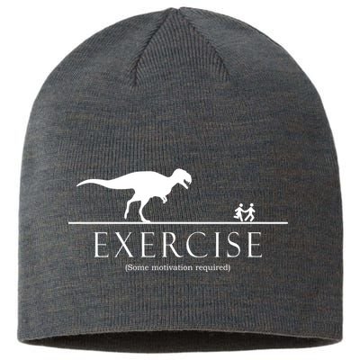 Exercise Some Motivation Required Running from T-Rex Sustainable Beanie