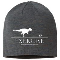 Exercise Some Motivation Required Running from T-Rex Sustainable Beanie