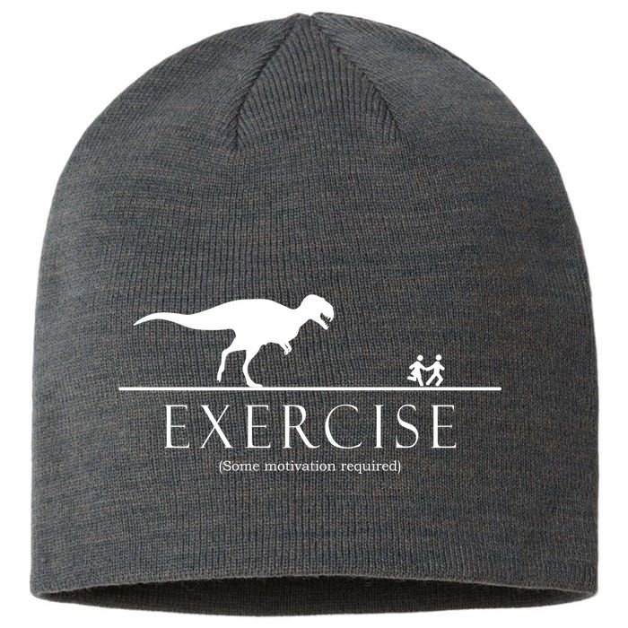 Exercise Some Motivation Required Running from T-Rex Sustainable Beanie